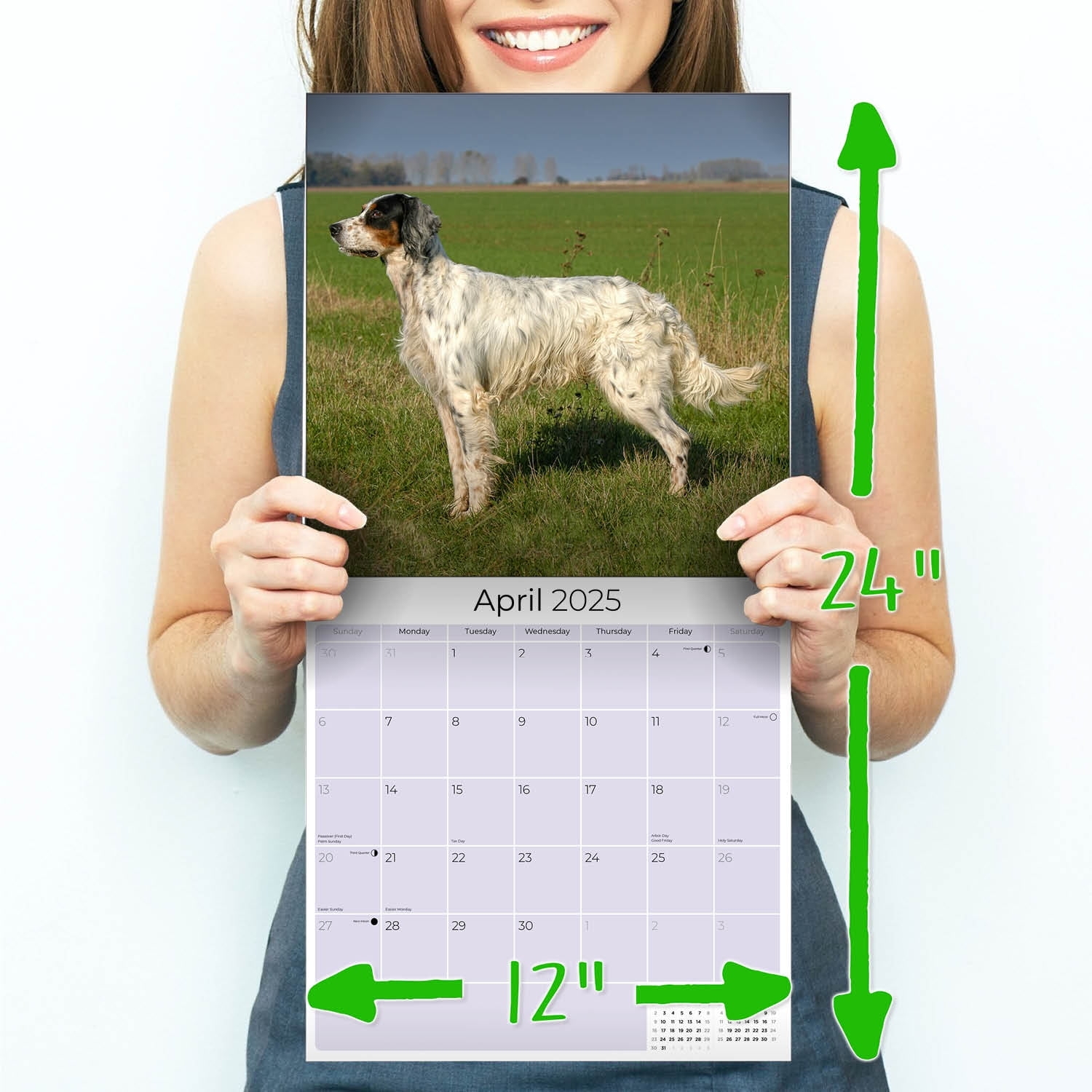 2024 2025 English Setter Calendar Dog Breed Monthly Wall Calendar 12 X 24 Open Thick No Bleed Paper Giftable Academic Teacher s Planner Calendar Organizing Planning Made In USA Walmart