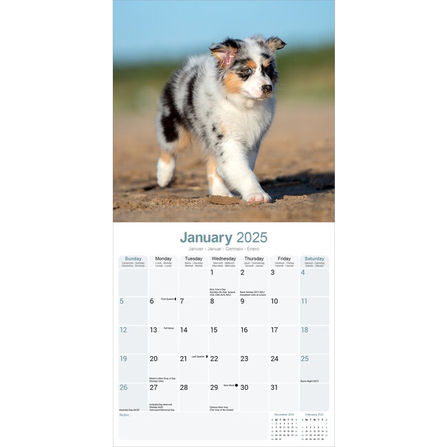 English Shepherd Calendar 2025