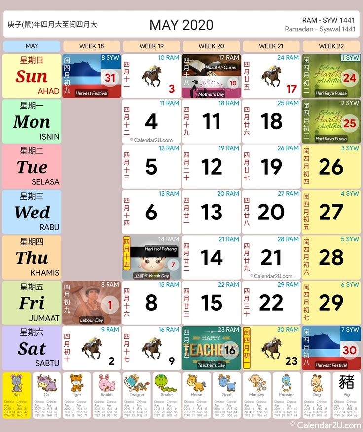 2025 Calendar Kuda Sally Powell