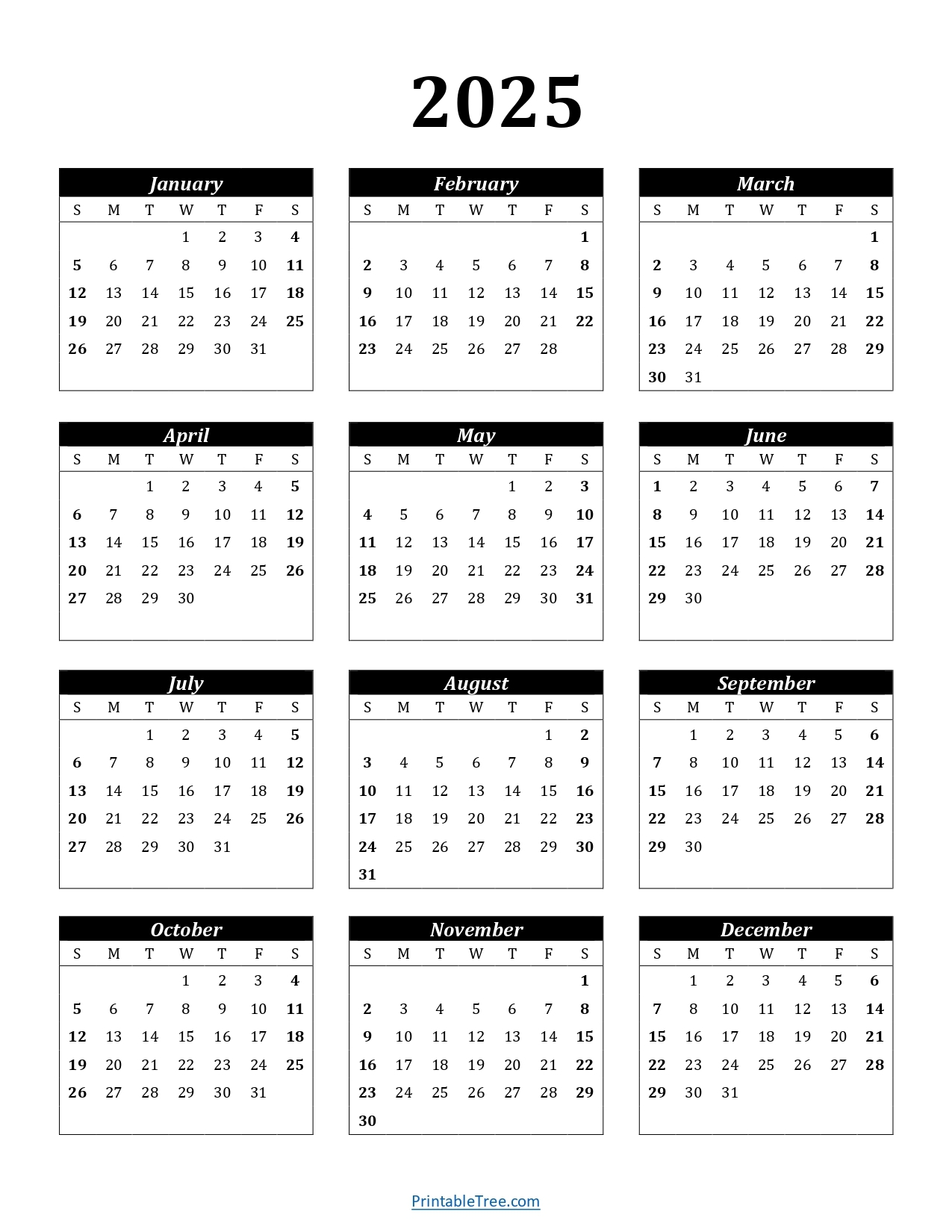 2025 Calendar Printable One Page Portrait Image Caty Auberta