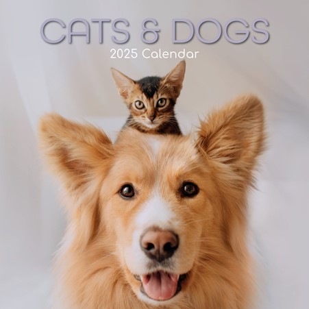 Vintage Cats 2025 Desk Calendar