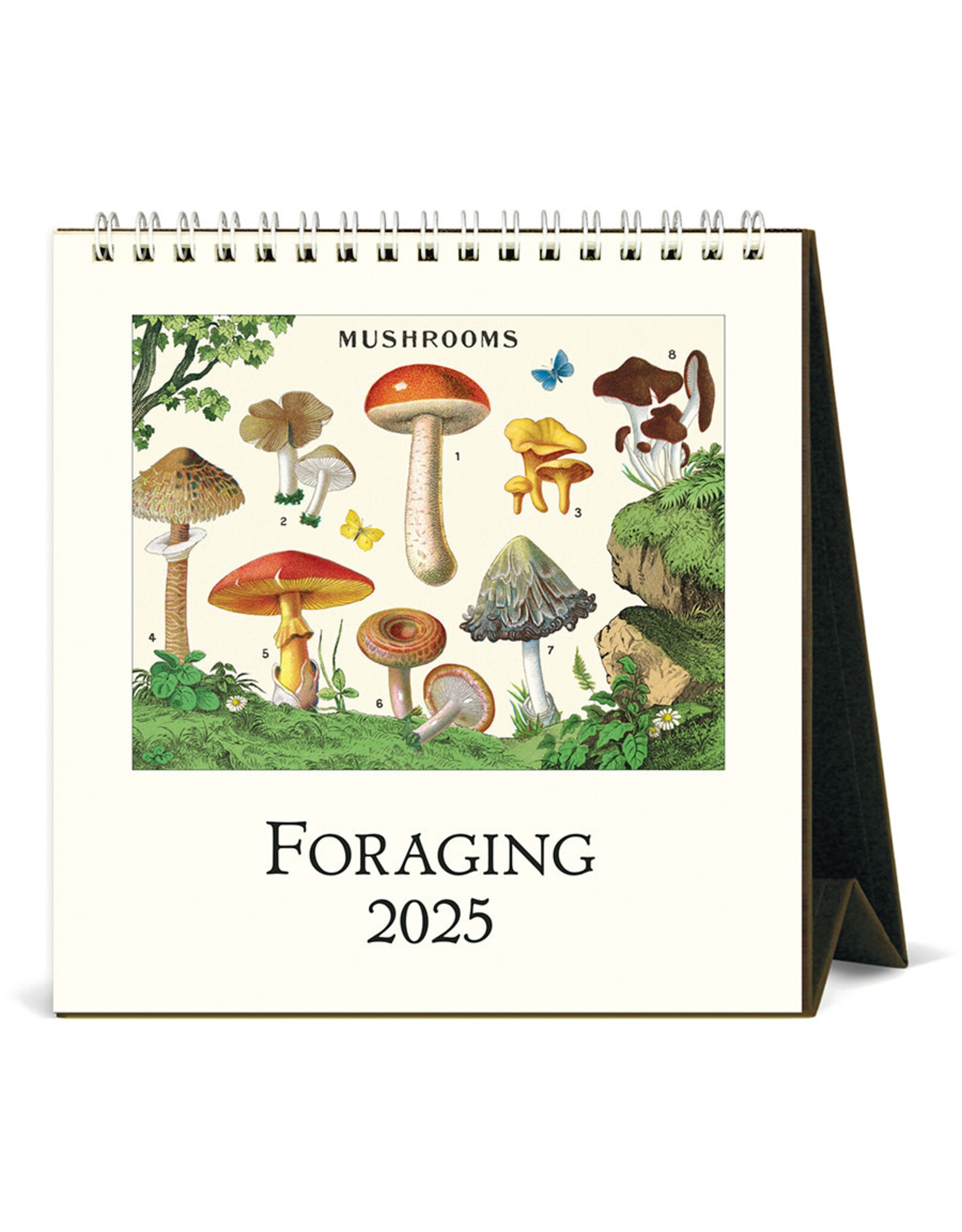 2025 Desk Calendar Foraging Copperfield s Gifts Rarities