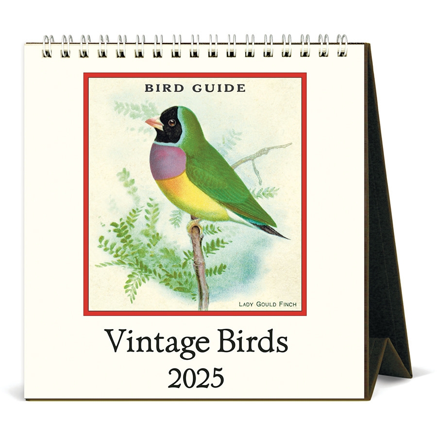Cavallini 2025 Desk Calendar
