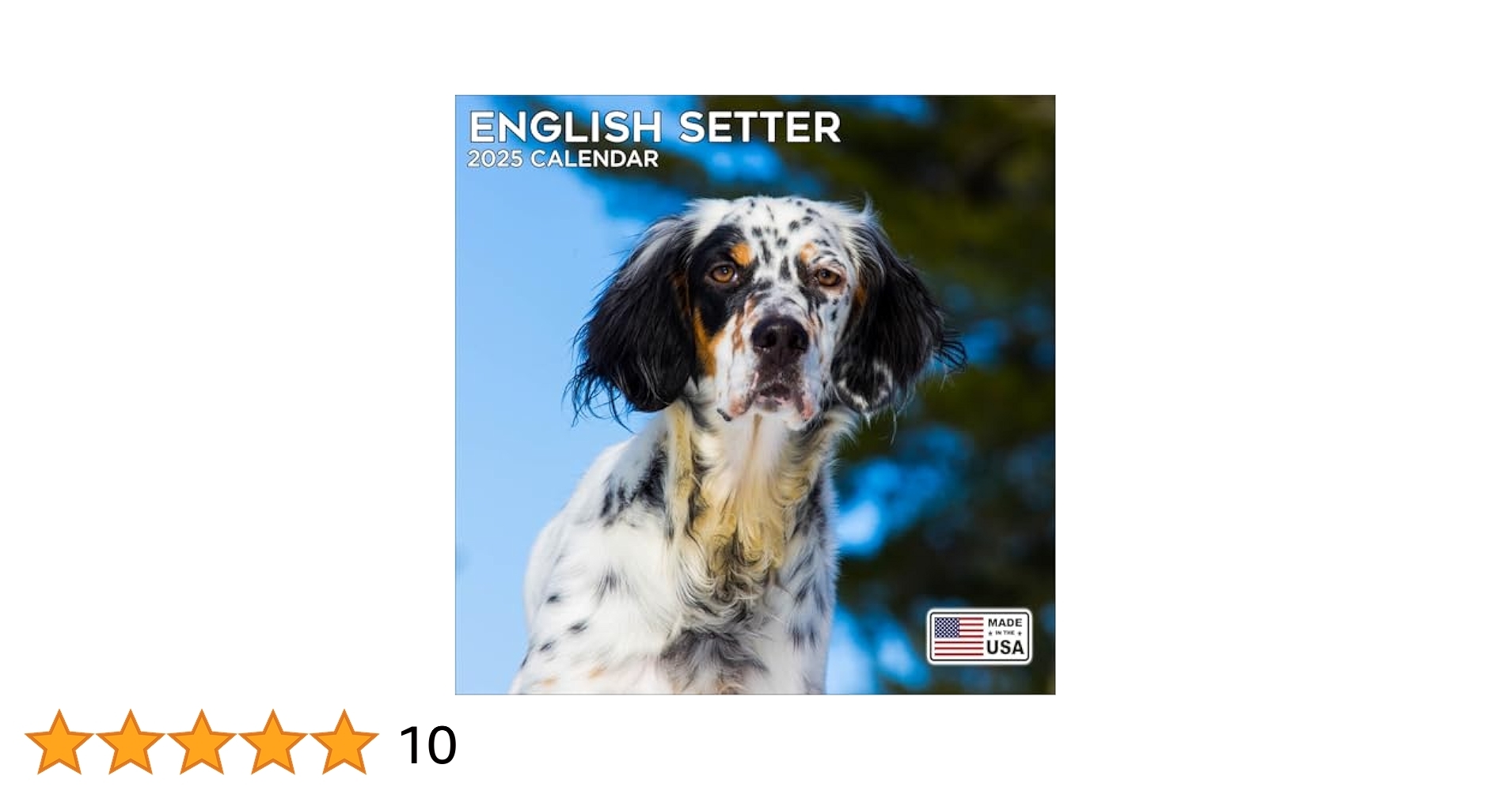 2025 English Setter Calendar Dog Breed Wall Calendar 12 X 24 Open Thick No Bleed Paper 14 Month Planner Calendar Organizing Planning MegaCalendars 0655255379762 Amazon Books