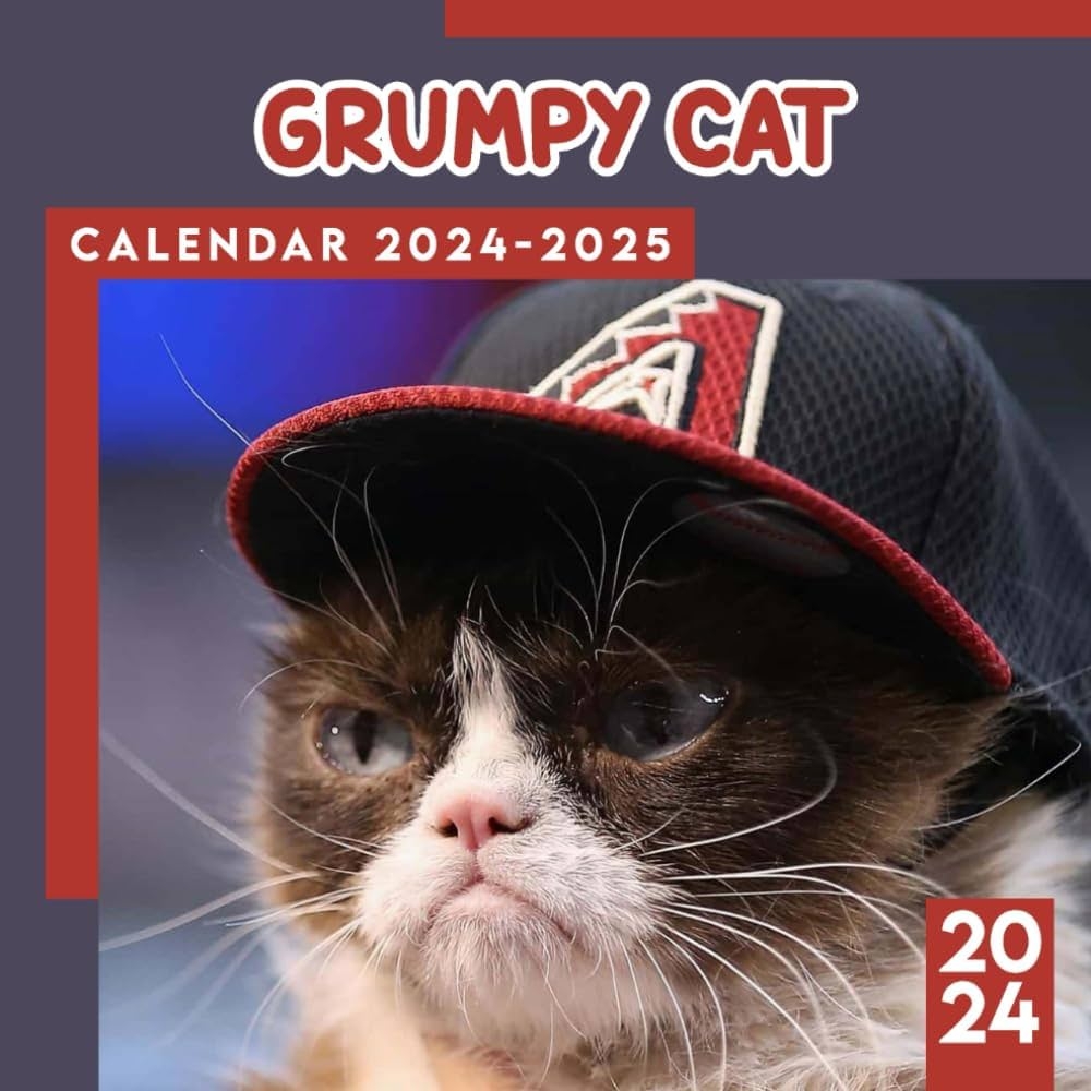2025 Grumpy Cat Box Calendar Alisun Margot