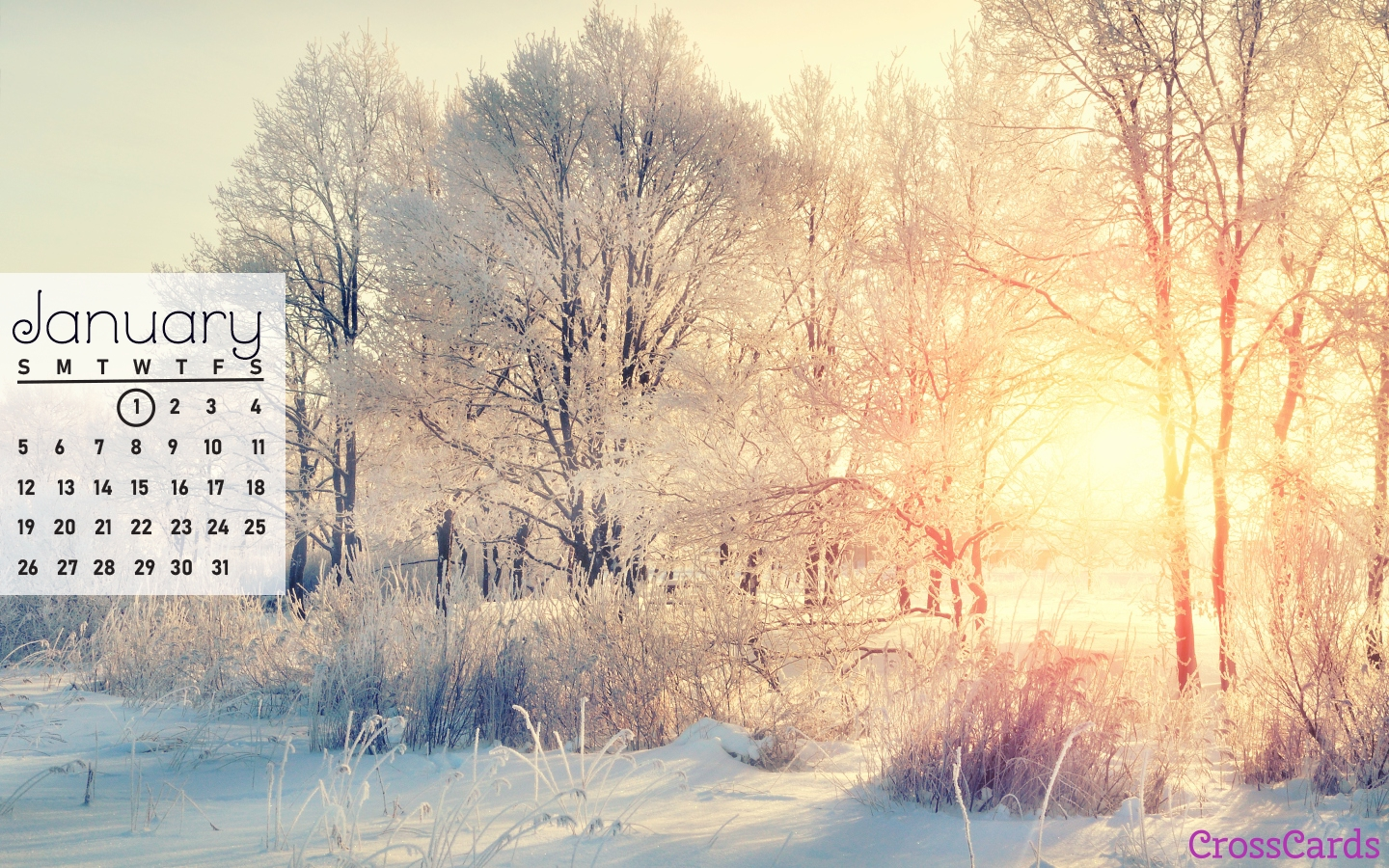 2025 January Calendar Wallpaper Aesthetic Wallpaper 4k Alejandra Deboer