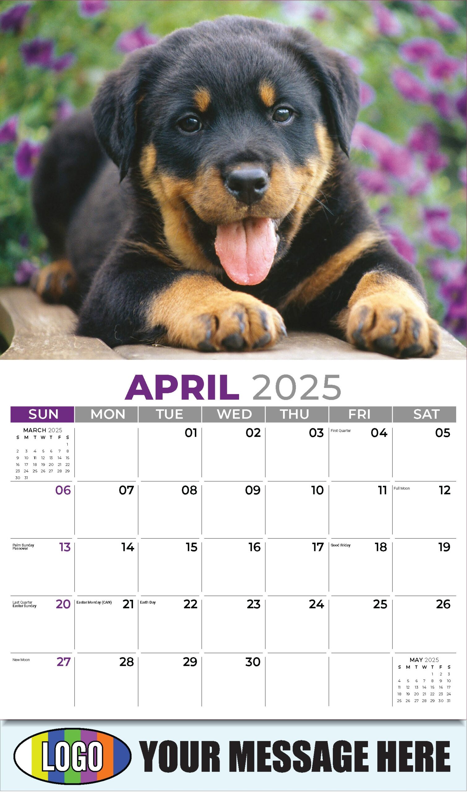 2025 Promotional Calendar Household Pets And Animals Low As 65 
