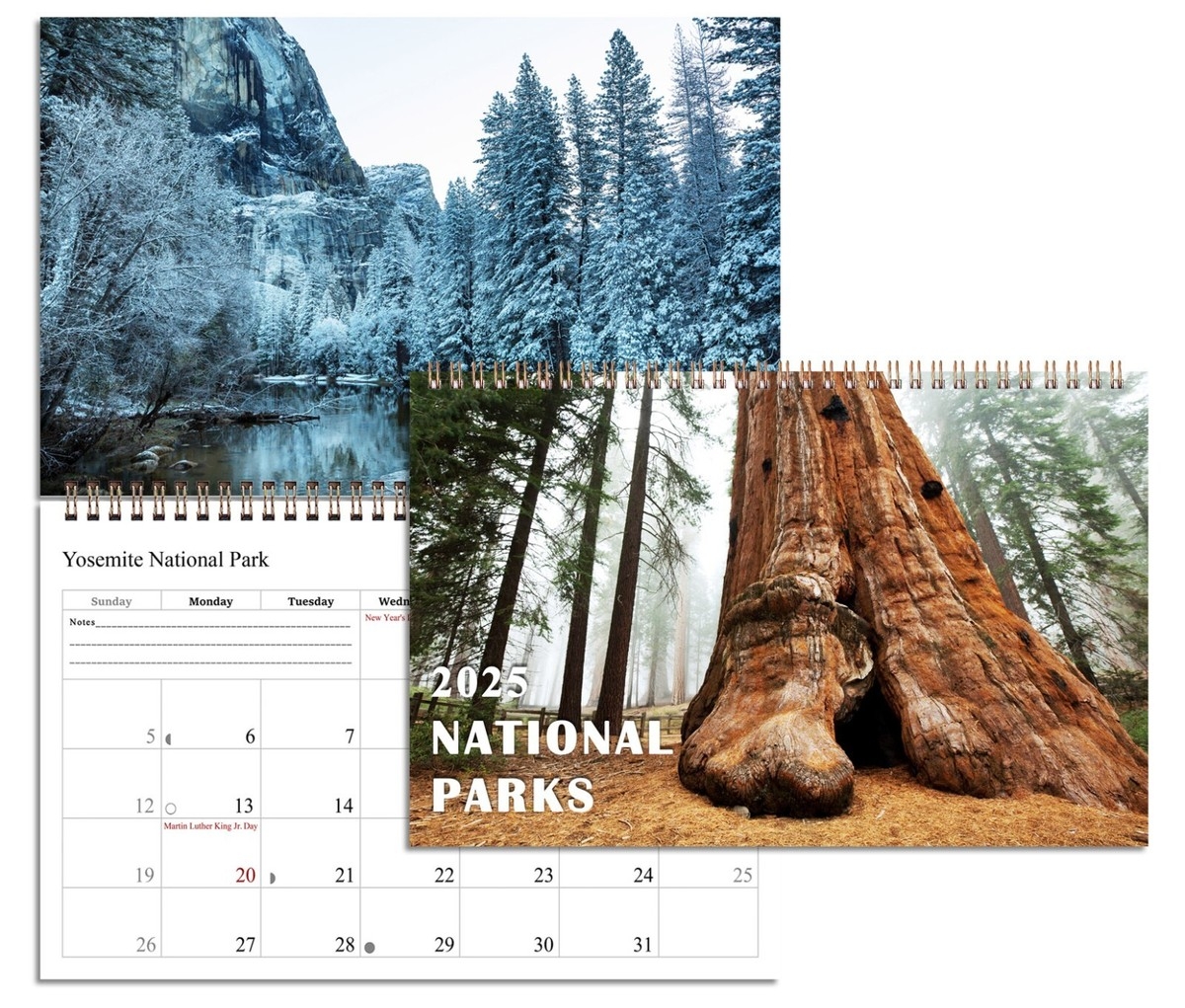 2025 Spiral bound Wall Calendar National Parks 12 Months Desktop EBay