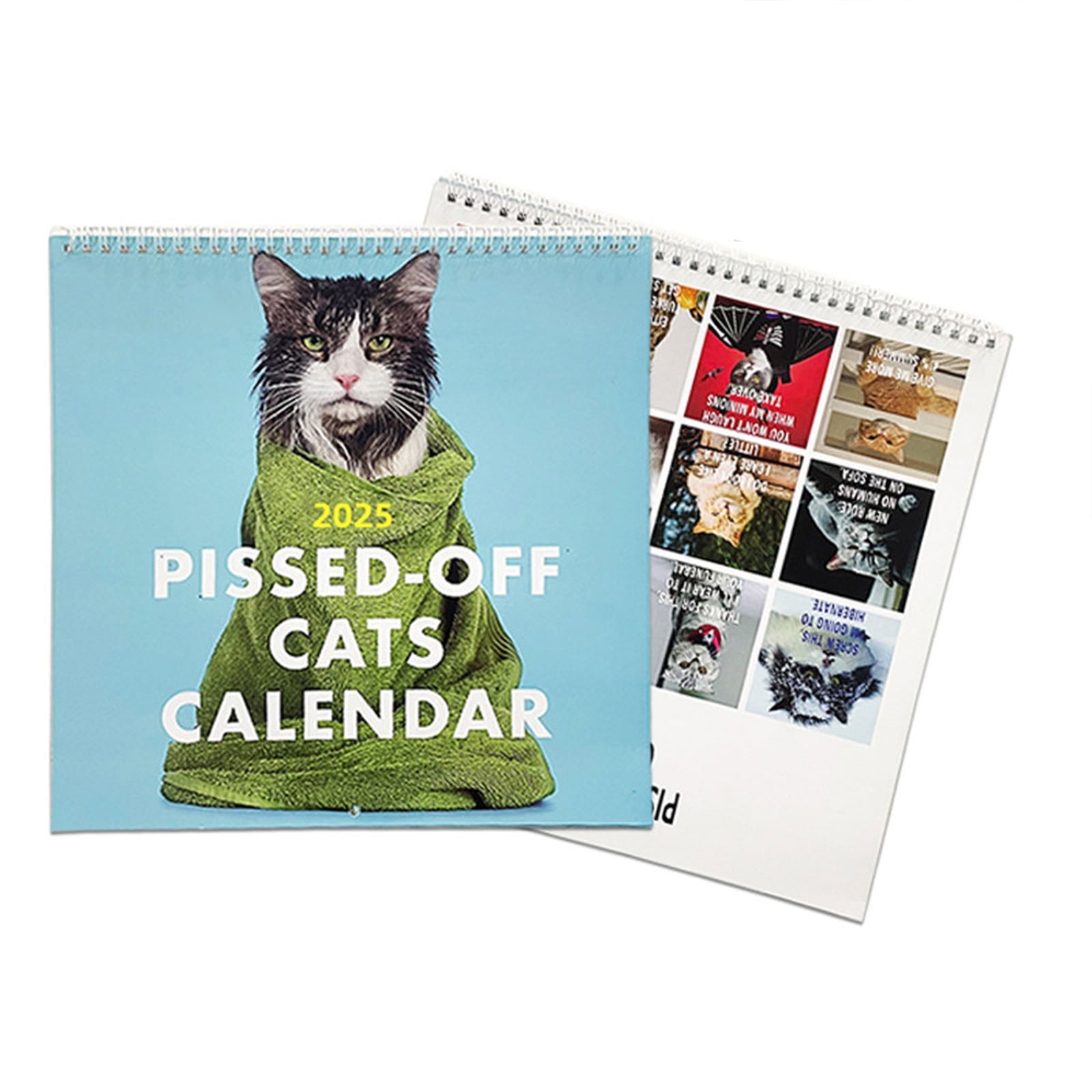 2025 Wall Calendar Funny Cat Calendar 2024 2025 16 Month Calendar 