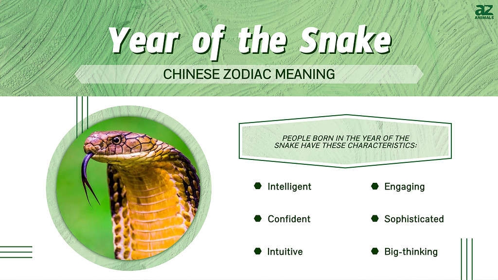 2025 Calendar Year Of The Snake