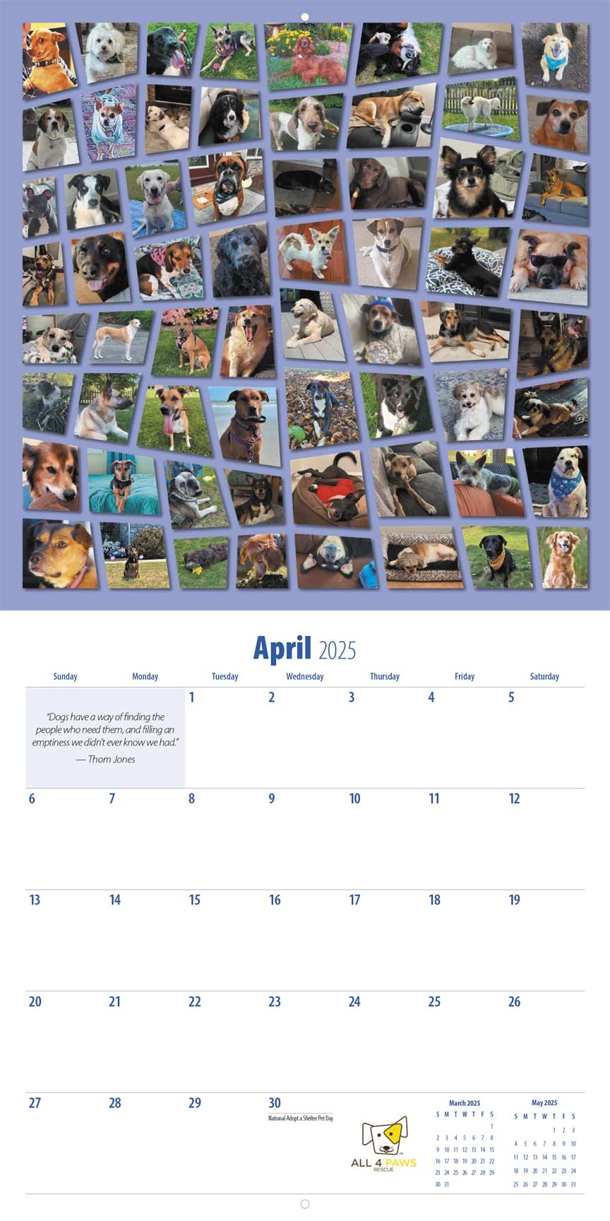All 4 Paws Rescue Gotcha Day 2025 Calendar Yearbox Calendars