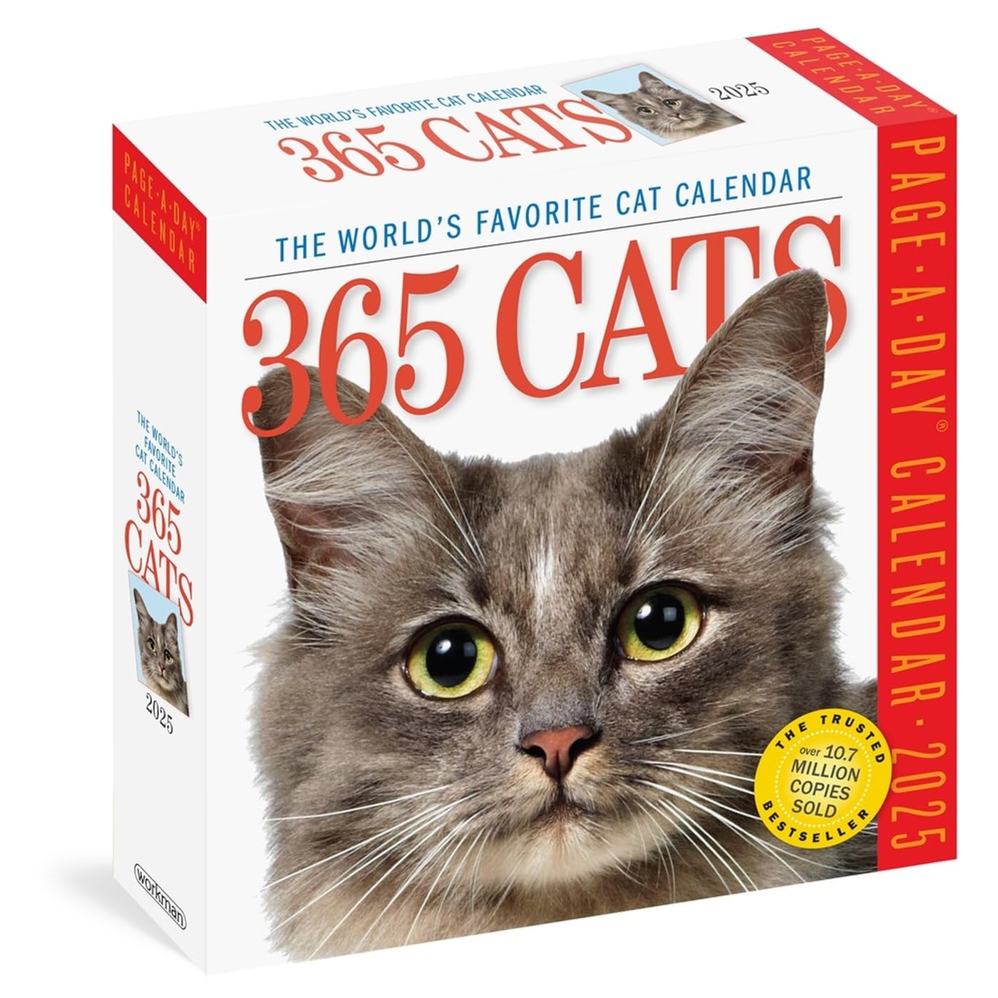 2025 Cat Calendar Contest