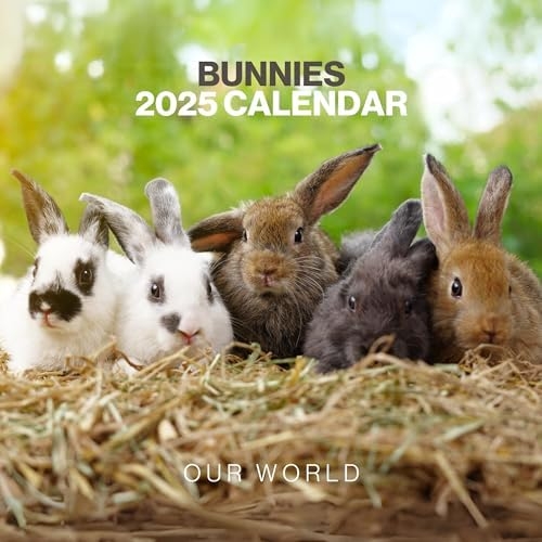 Amazon Bunny Calendar 2025 Large 12 Month 2025 Wall Calendar 