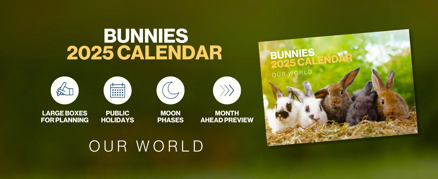 Amazon Bunny Calendar 2025 Large 12 Month 2025 Wall Calendar 