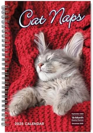 Amazon Cat Naps 2025 Weekly Monthly Planner 16 Month 