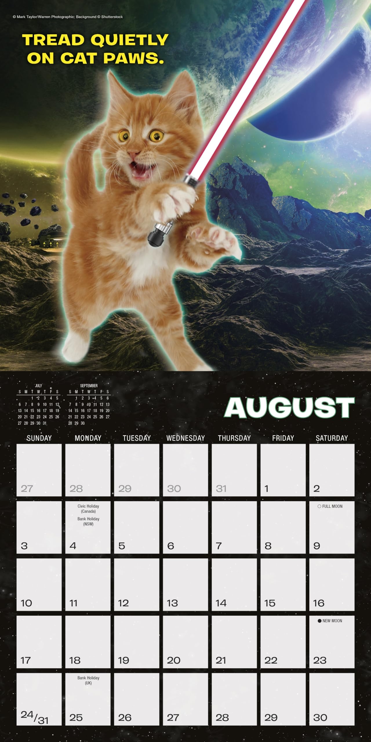 Amazon Cat Wars 2025 Mini Calendar 7 X 7 Office Products