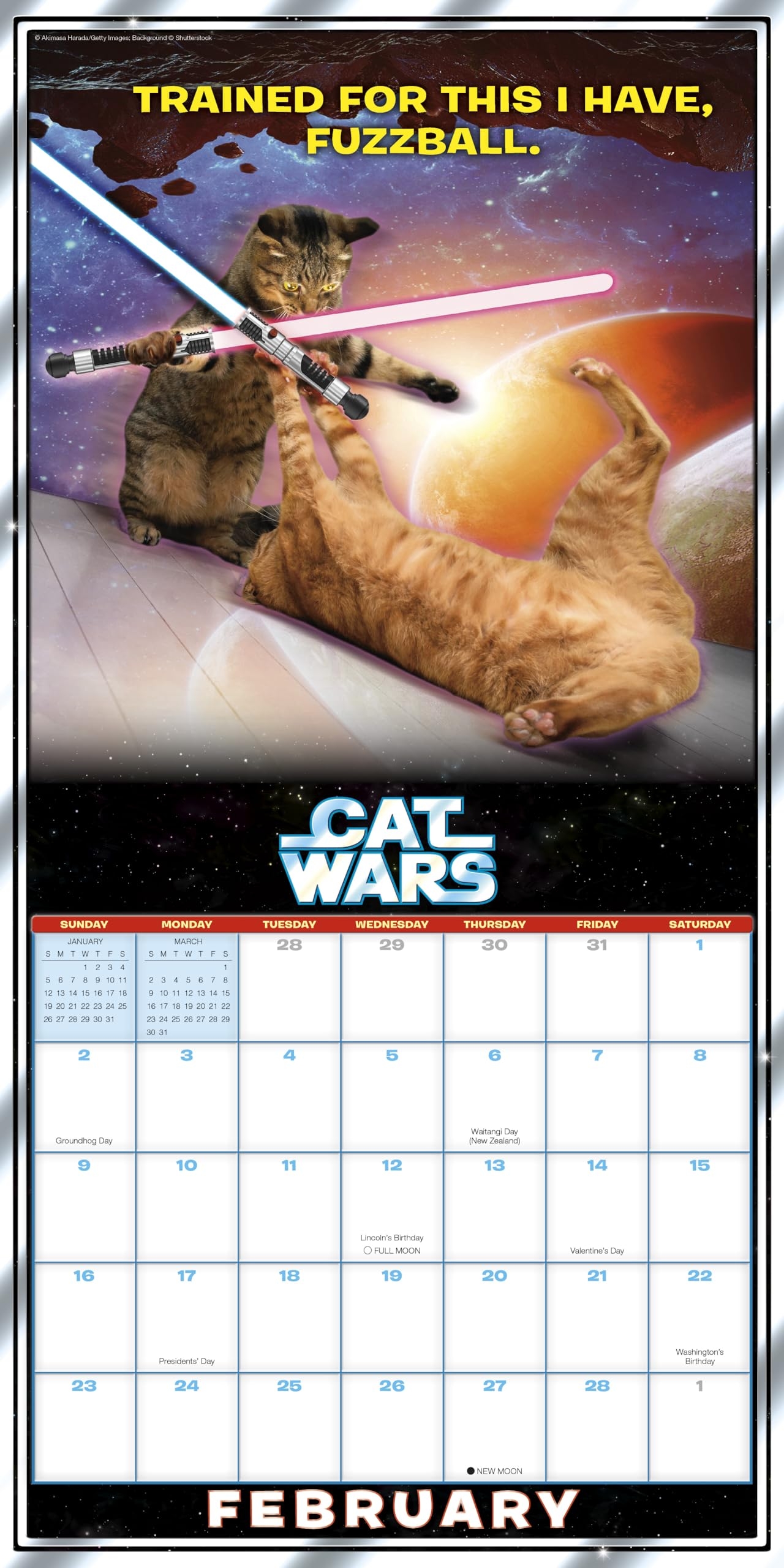Amazon Cat Wars 2025 Wall Calendar 16 Month Humor Comic Calendar 12 X 12 Office Products