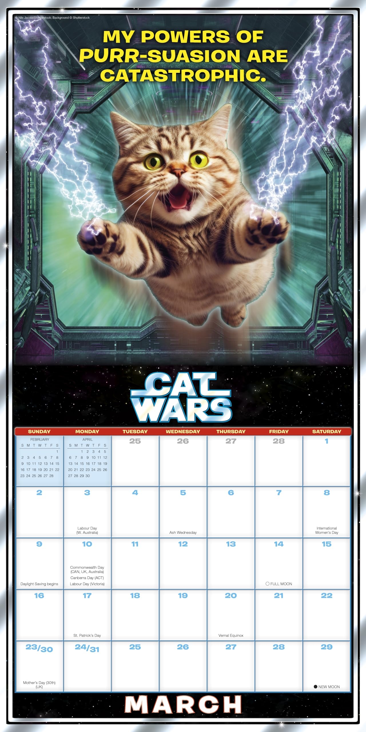 Amazon Cat Wars 2025 Wall Calendar 16 Month Humor Comic Calendar 12 X 12 Office Products