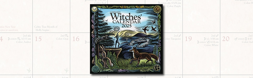 Amazon Llewellyn 39 s 2025 Witches 39 Calendar Llewellyn 39 s 2025 