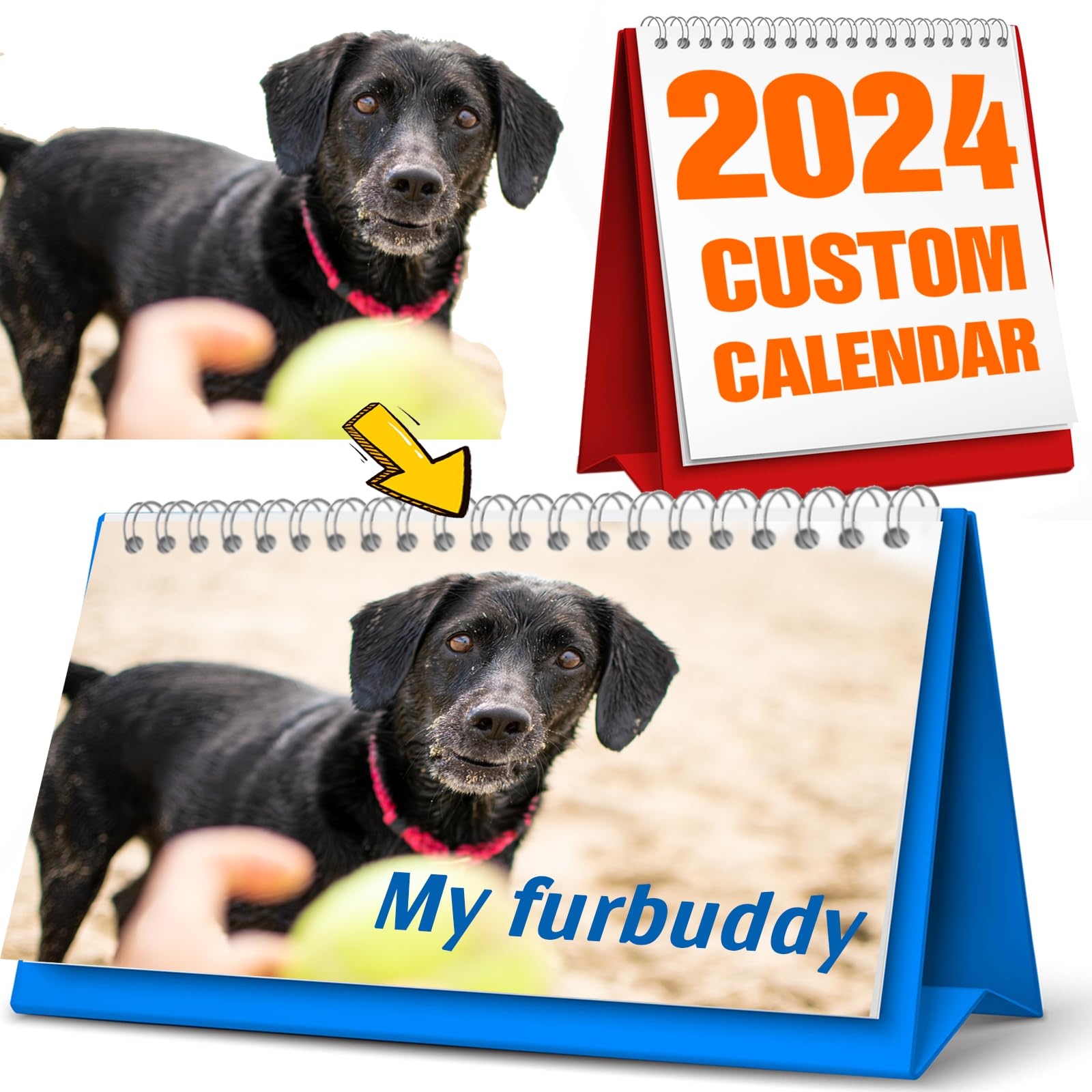 Amazon Personalized Custom Desk Calendar 2025 Monthly With Your Own Dogs Photos Pictures Office Products