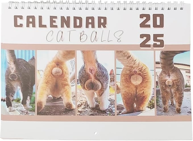 Amazon Rrlihjgu 2025 Cat Butthole Calendar Funny Cats Balls