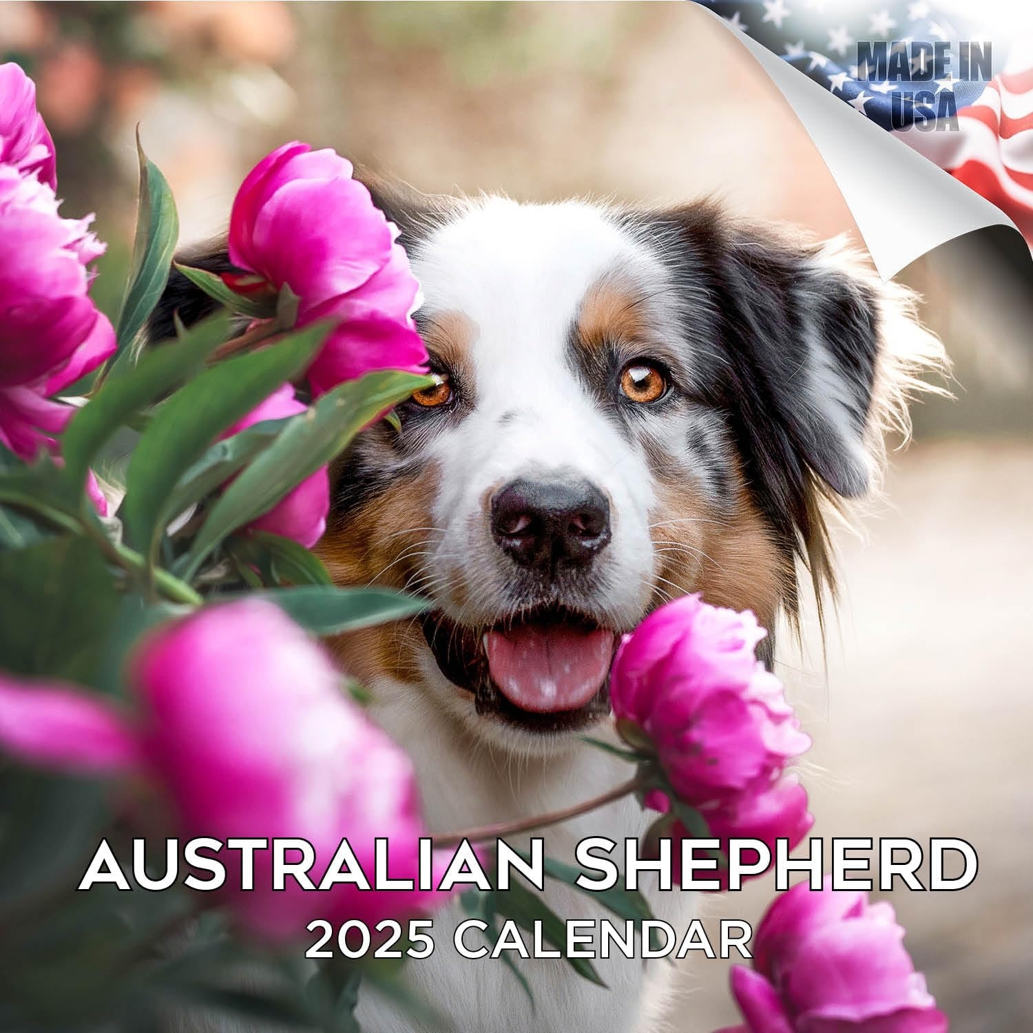 Amazon Willow Creek Press Australian Shepherd Puppies Monthly 2025 