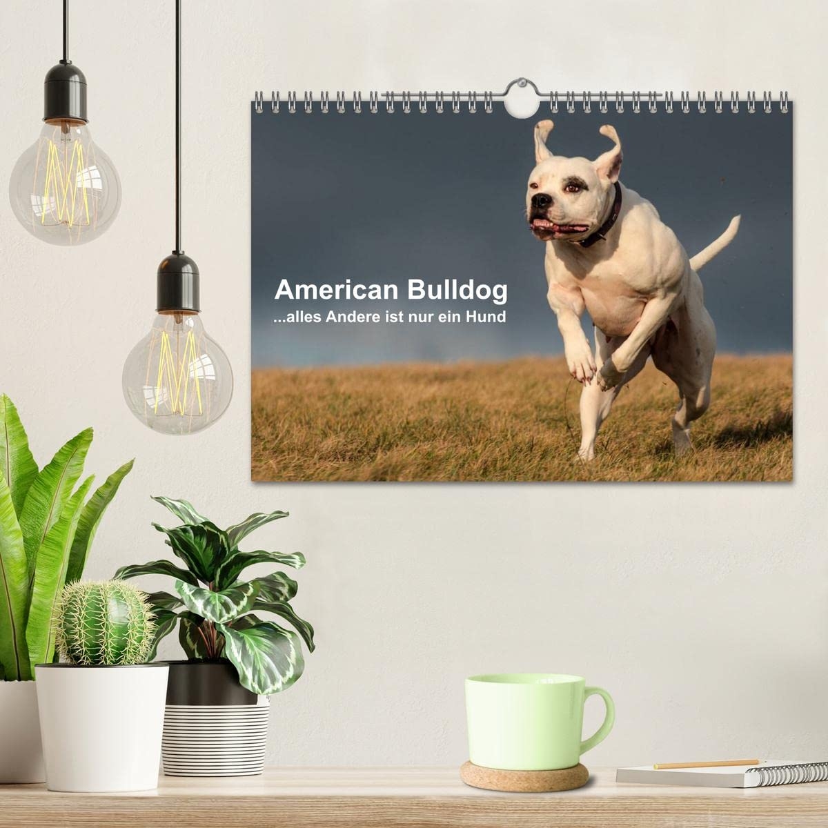 American Bulldog Calendar 2025
