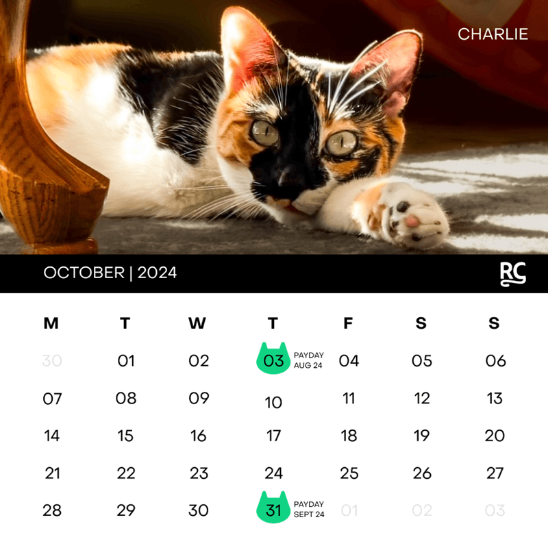 Apple Fiscal Calendar Year And Payment Dates updated For 2025 