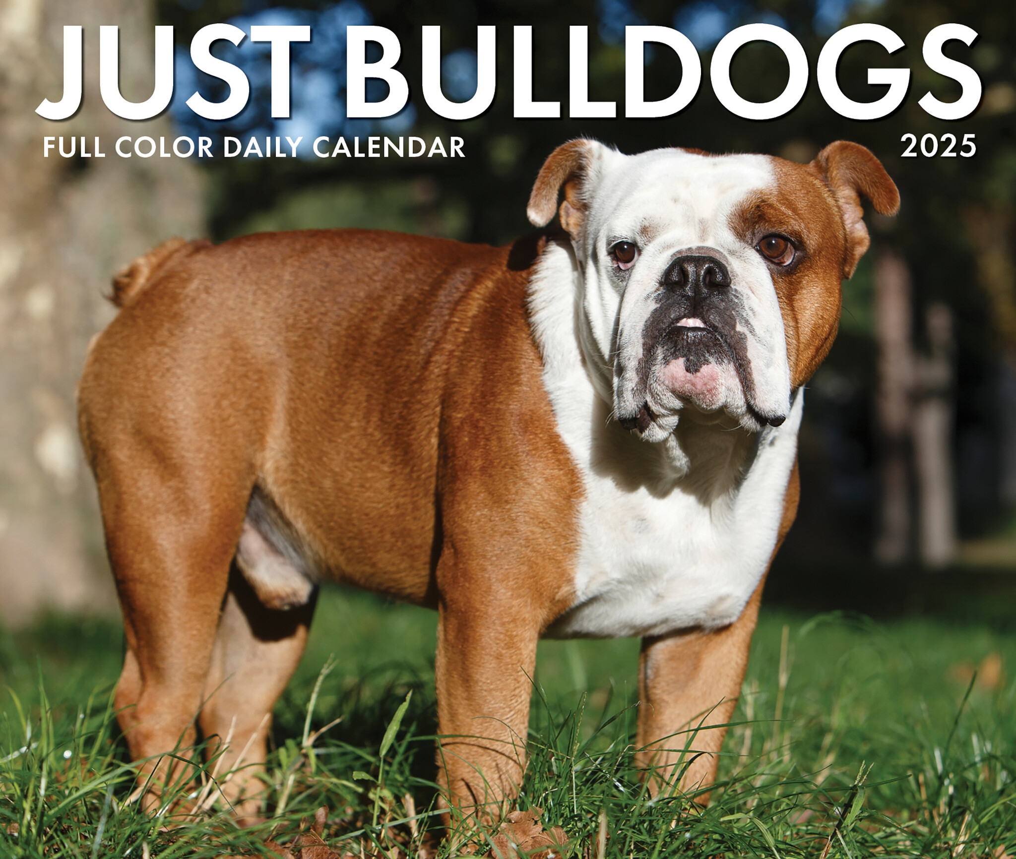 Bulldog Calendar 2025 Miles Coleman