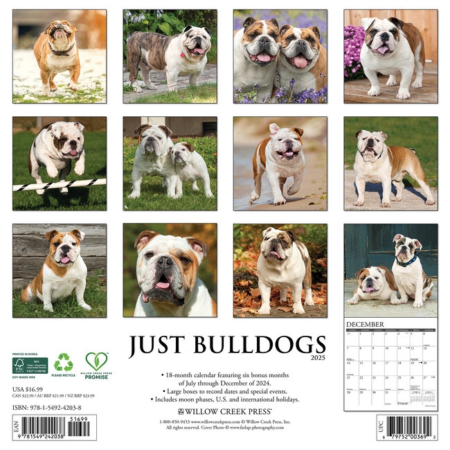 Bulldog Calendar 2025 Rebecca Martin