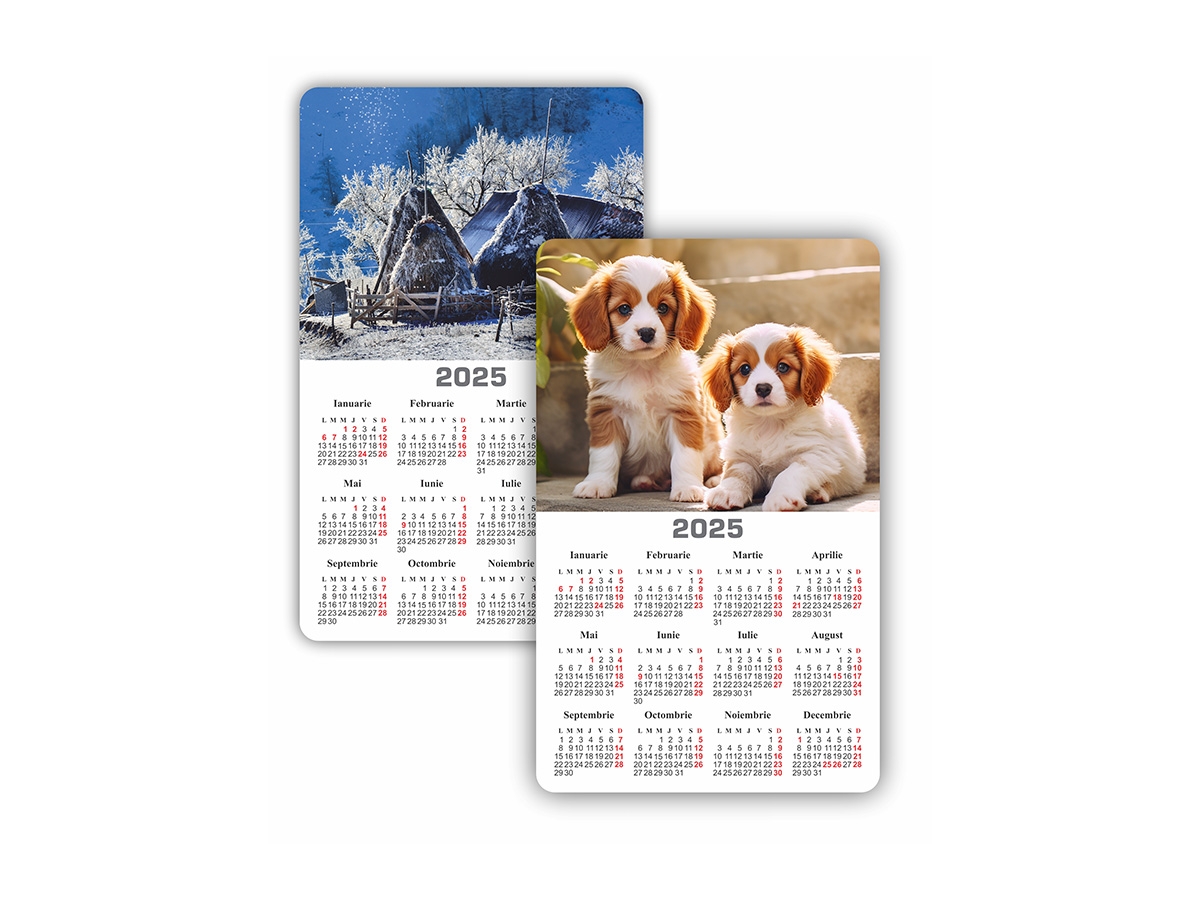 Calendar 2025 Magnetic Arhi Design