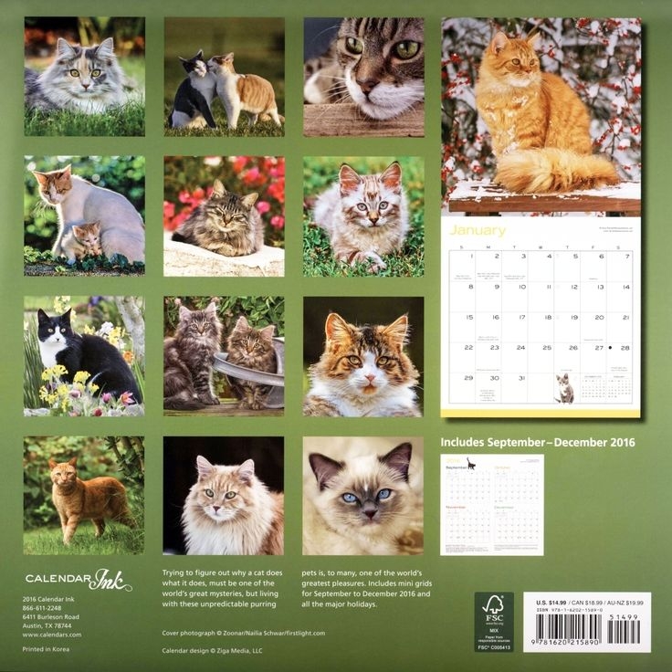 Calendar Cats 2025 Henry Charles