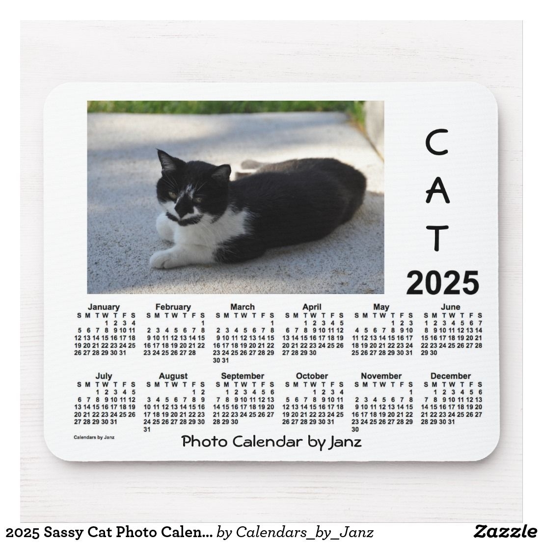 Cat Calendar Contest 2025 Personal Life Calendar