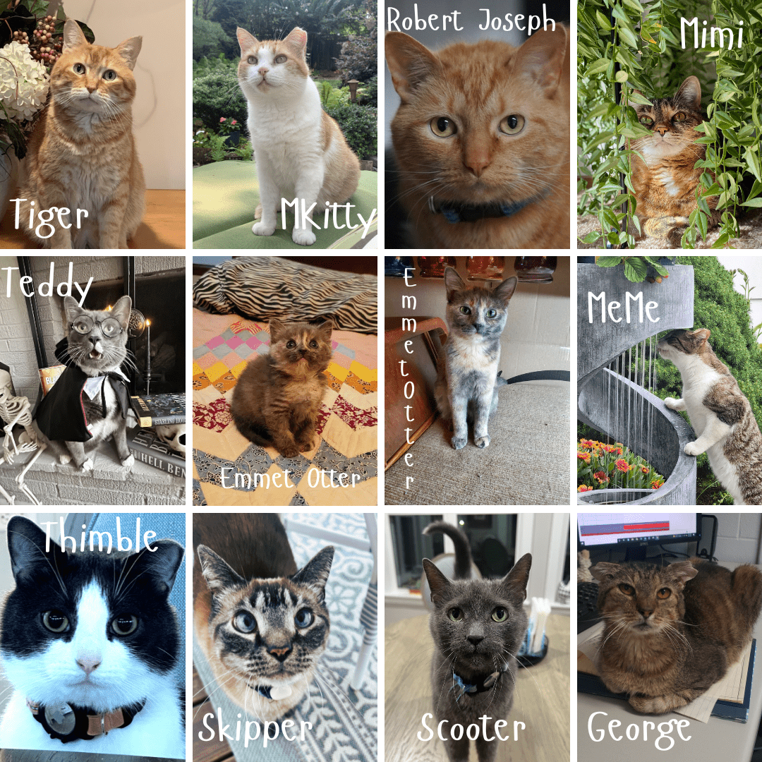 Cat Calendar Contest 2025 Winners Risa Chrystal