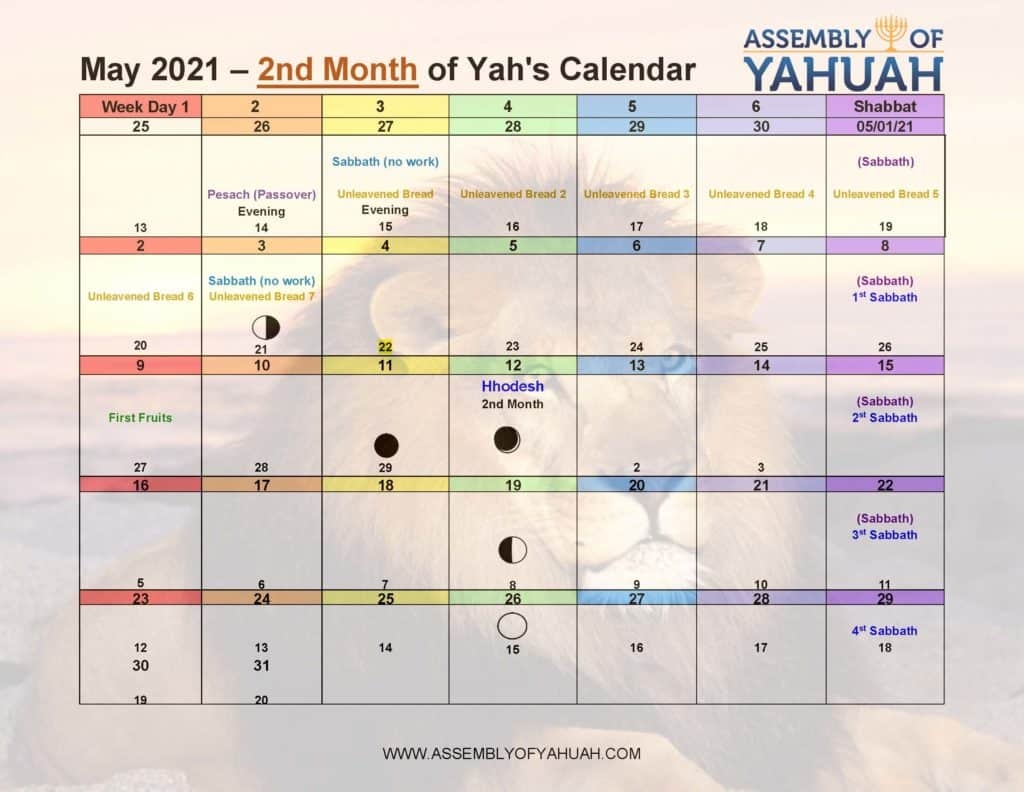 Catholic Calendar 2025 Feast Days Lily Desirae