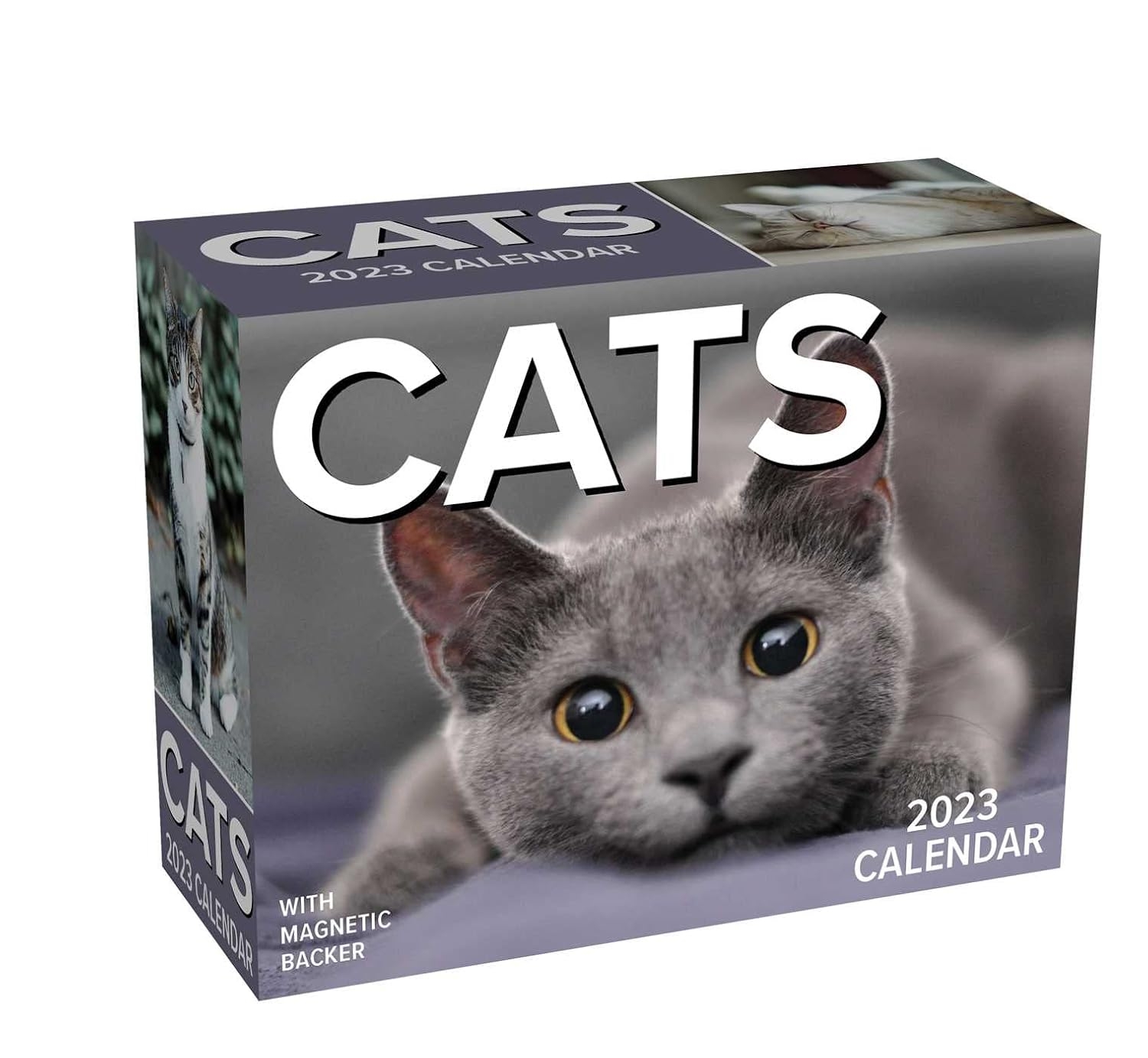 Cats 2025 Mini Day To Day Calendar Serenity Grace