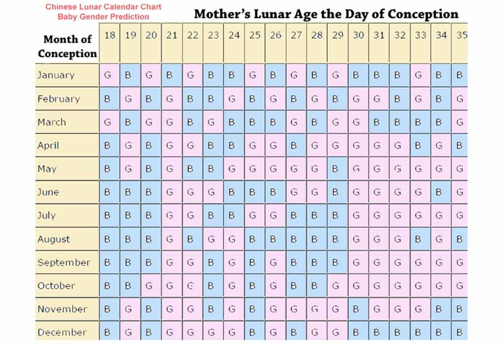 Chinese Calendar 2025 Boy Or Girl Cindee Rhonda
