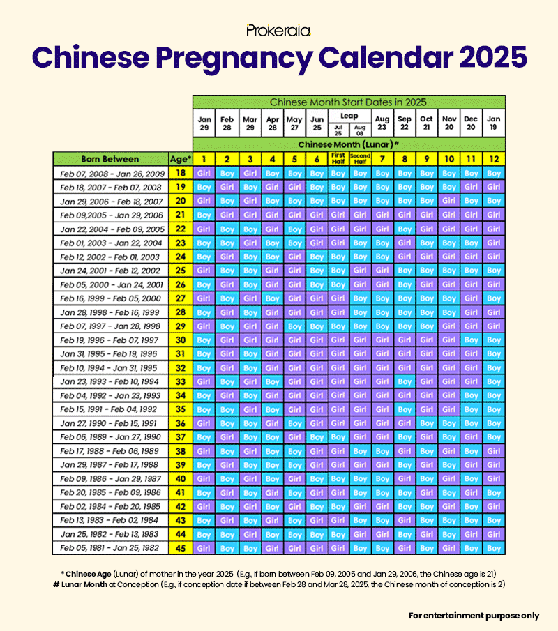 Chinese Gender Predictor