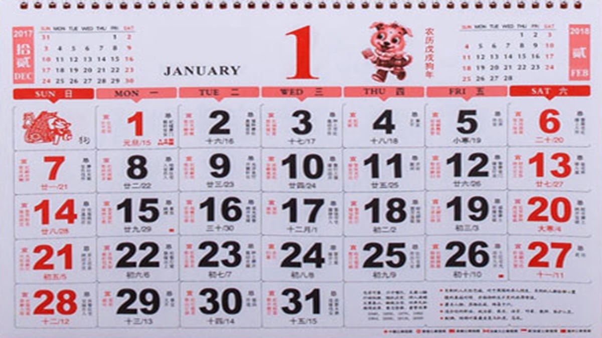 Chinese Crested Calendar 2025