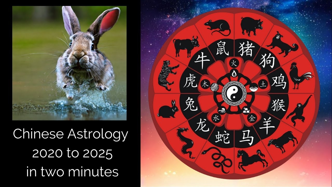 Chinese Zodiac 2025 Calendar Pdf Cristal J Keller