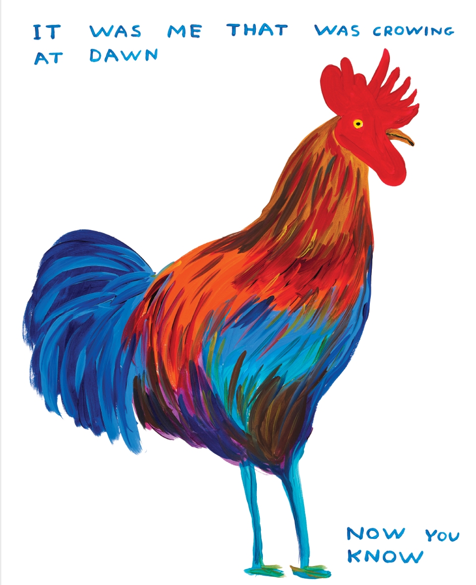 David Shrigley Calendar 2025 Pdf Download Bidget Lorianne