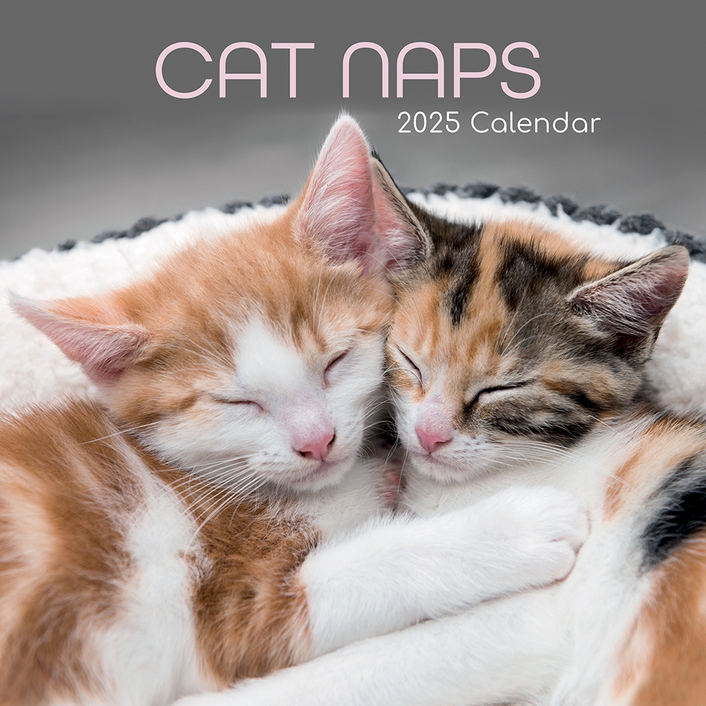 December 2025 Cat Calendar Printable Marcus E Lund