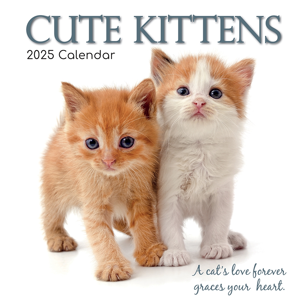 2025 Cat Calendar Submissions