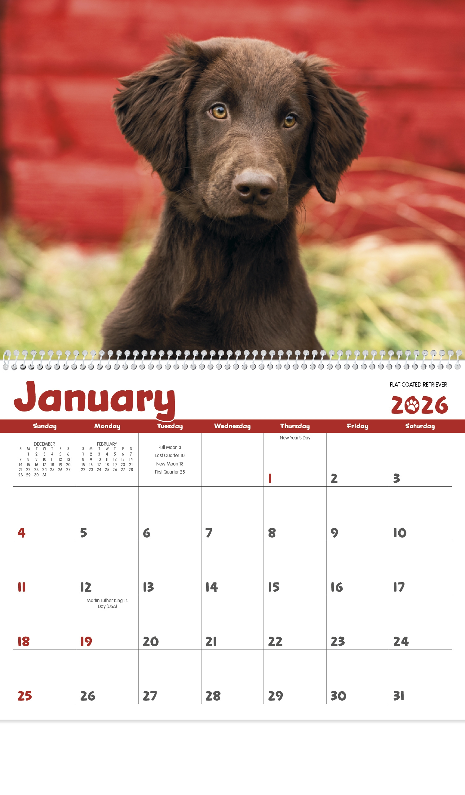 Dog Days Calendar 2025 Luyu Flint