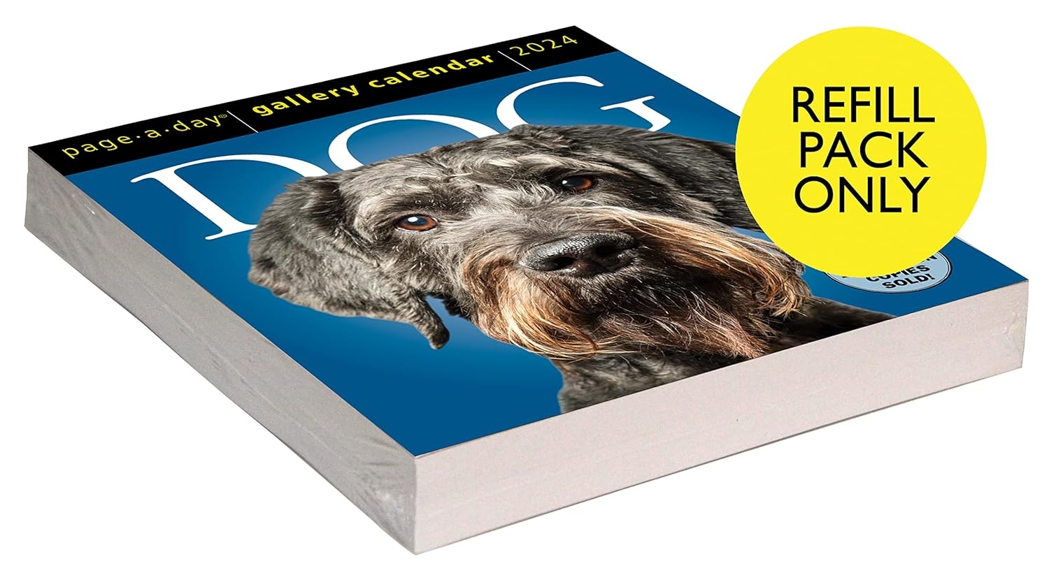 Dog Page A Day Calendar 2025 Yuma Brooke