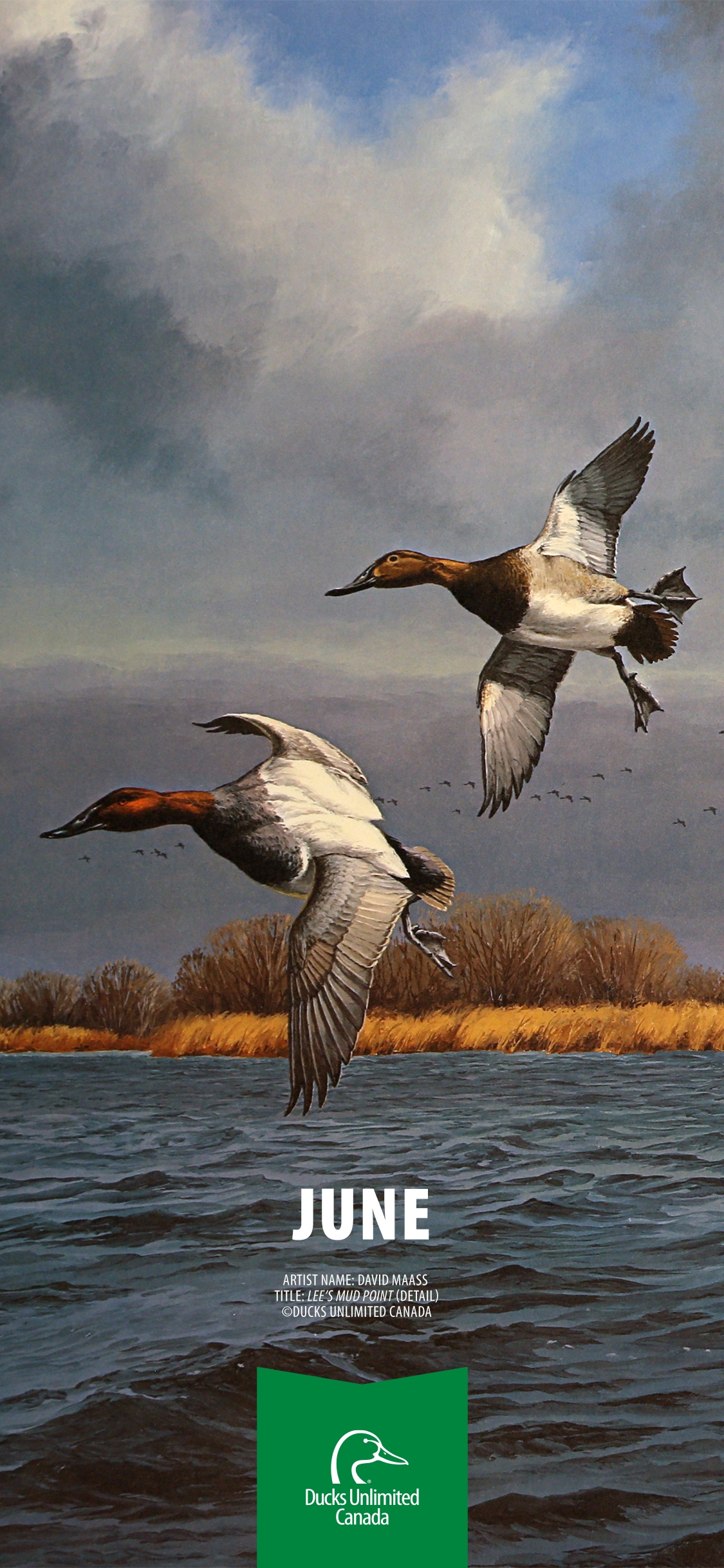 Ducks Unlimited Canada Calendar 2025