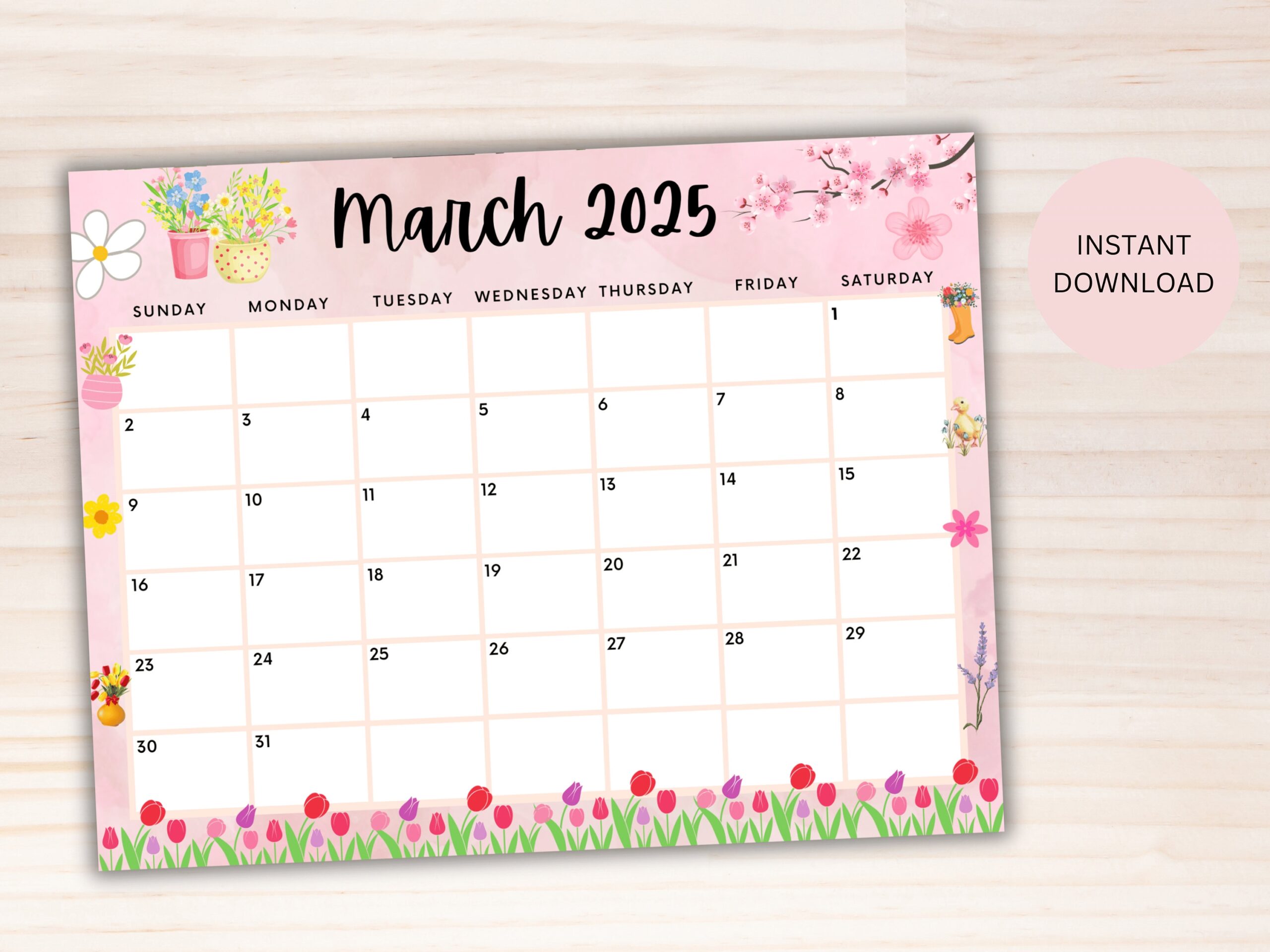 EDITABLE March 2025 Calendar Printable Wall Calendar 2025 Cute Spring 