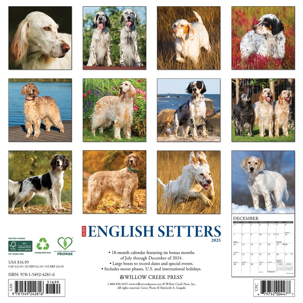 English Setters 2025 Wall Calendar