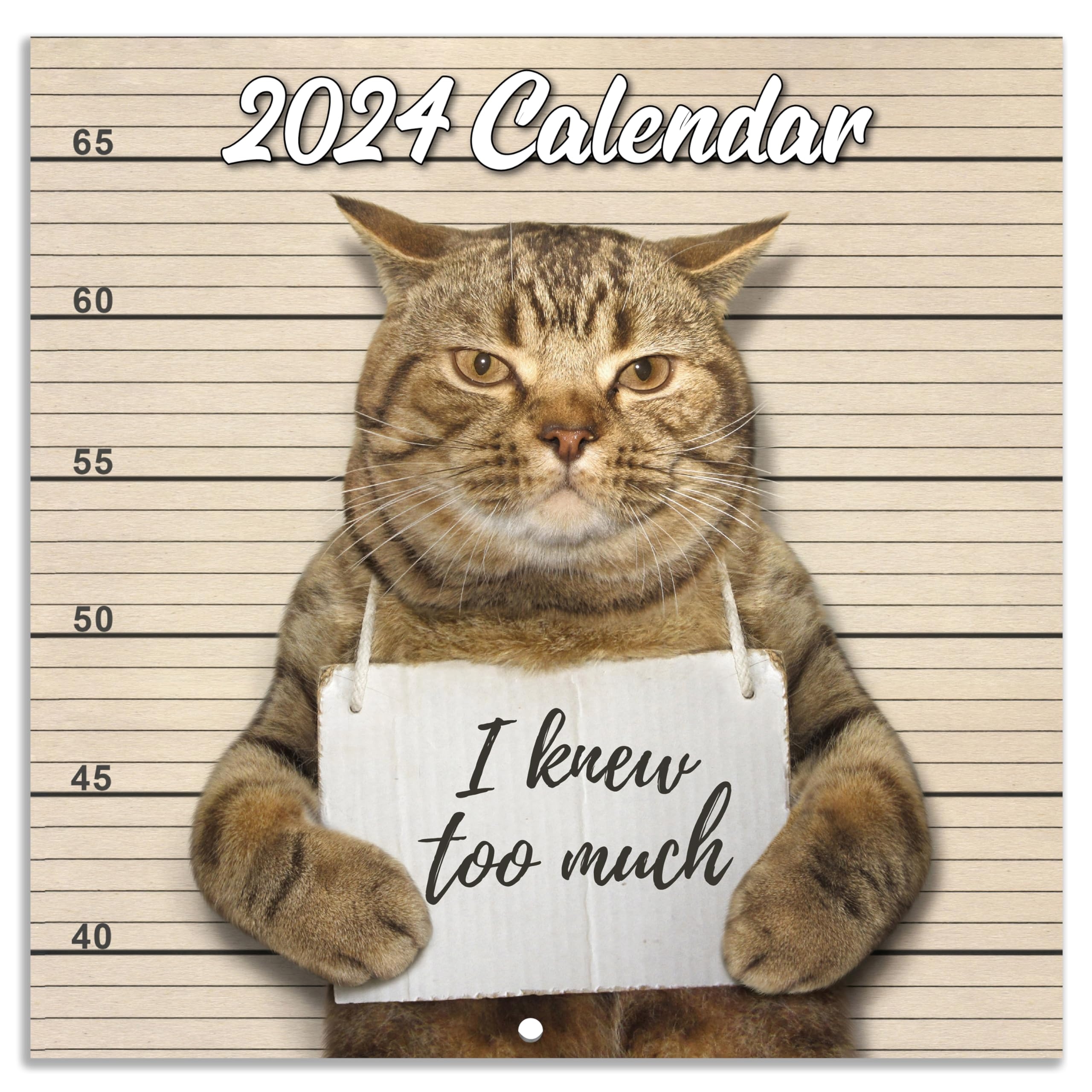 Funny Cat 2025 Calendar Karim Ivy