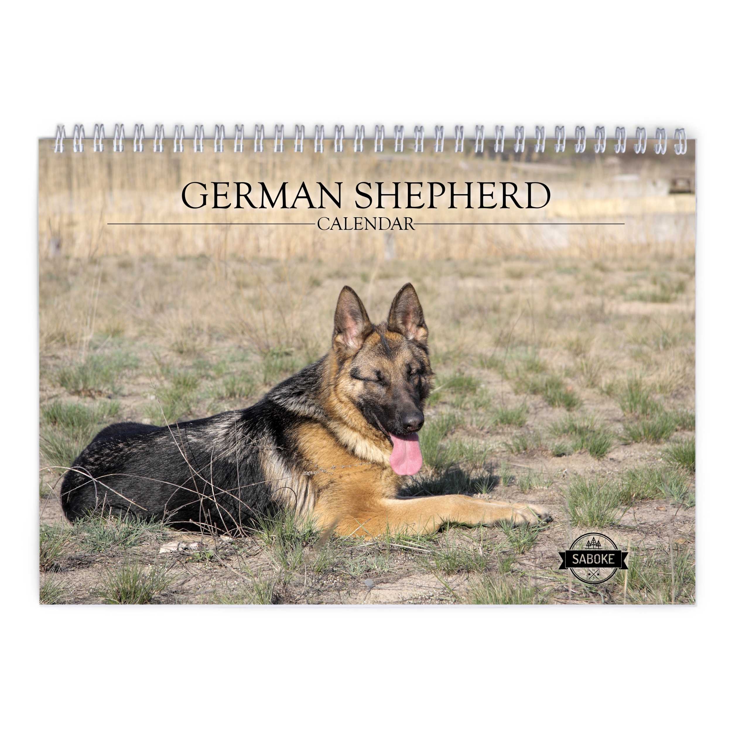 German Shepherd 2025 Wall Calendar